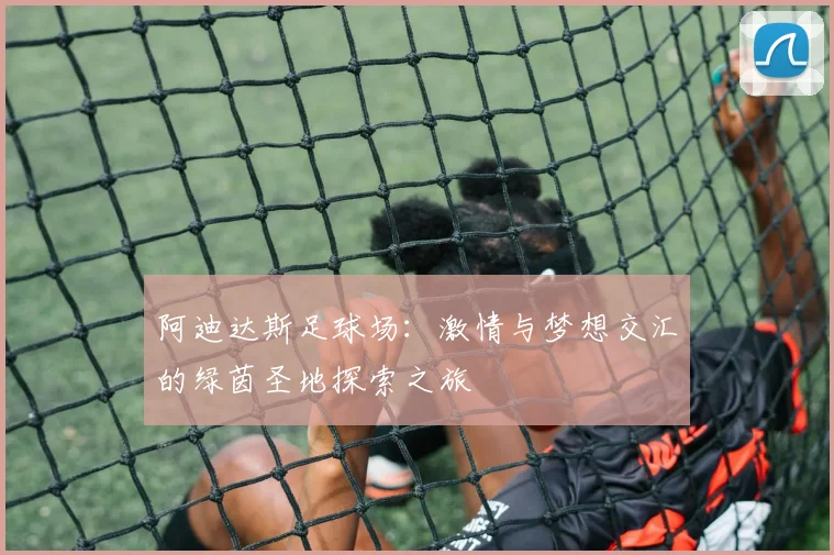 阿迪达斯足球场：激情与梦想交汇的绿茵圣地探索之旅