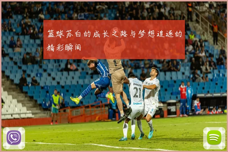 篮球苏白的成长之路与梦想追逐的精彩瞬间