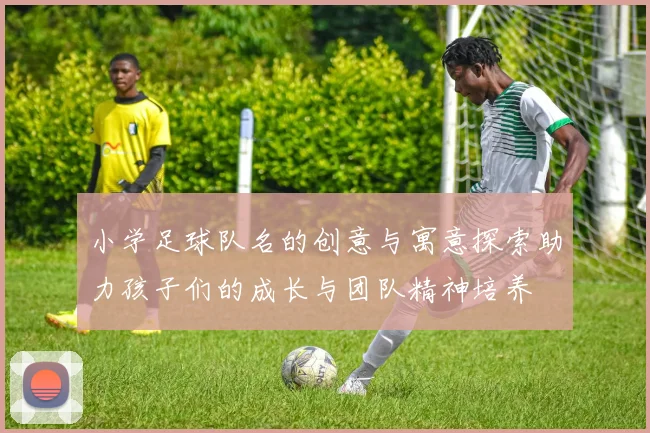 小学足球队名的创意与寓意探索助力孩子们的成长与团队精神培养